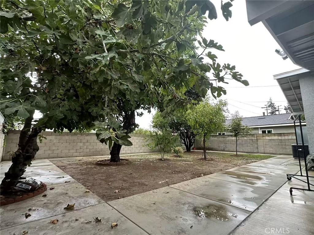 MLS #WS25265862 image #0