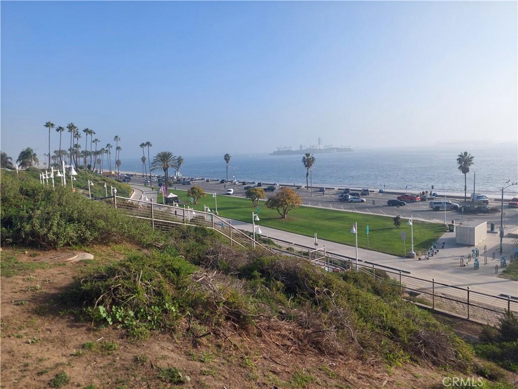 MLS #WS25281992 image #0