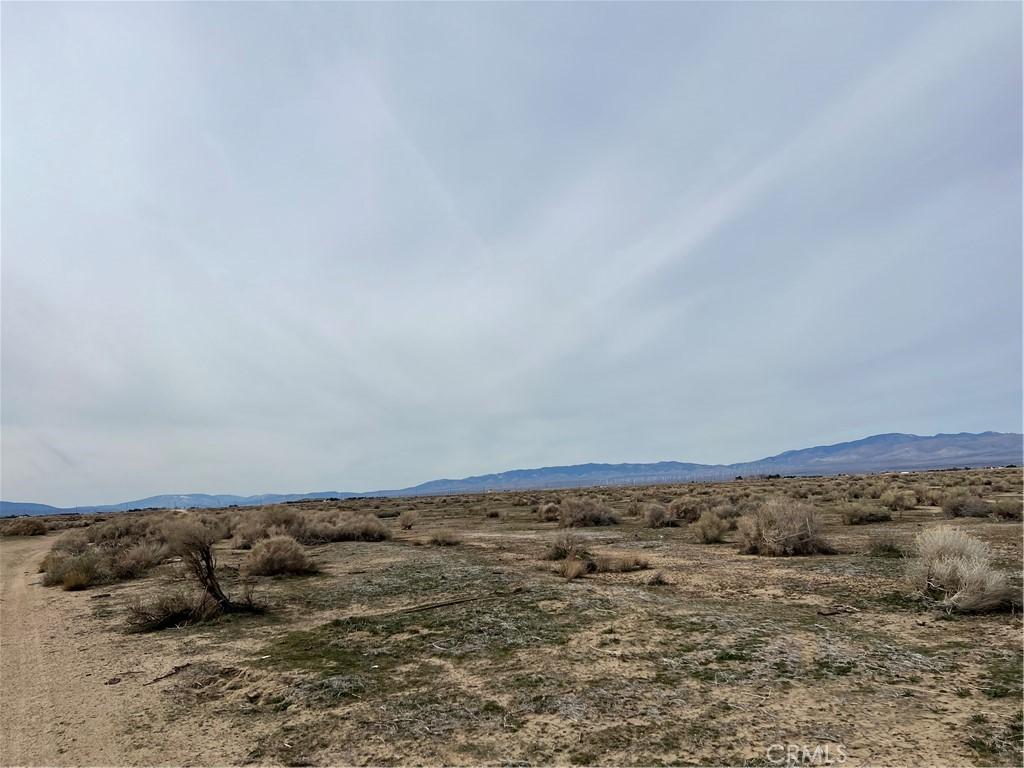MLS #WS26088639 image #0