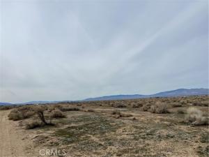 MLS #WS26088639 image #0