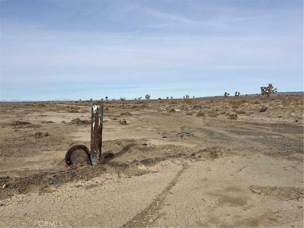 MLS #WS26096522 image #0