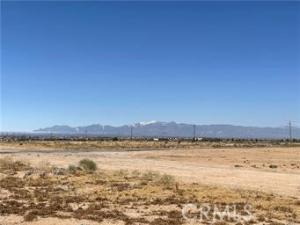 MLS #WS26131848 image #0