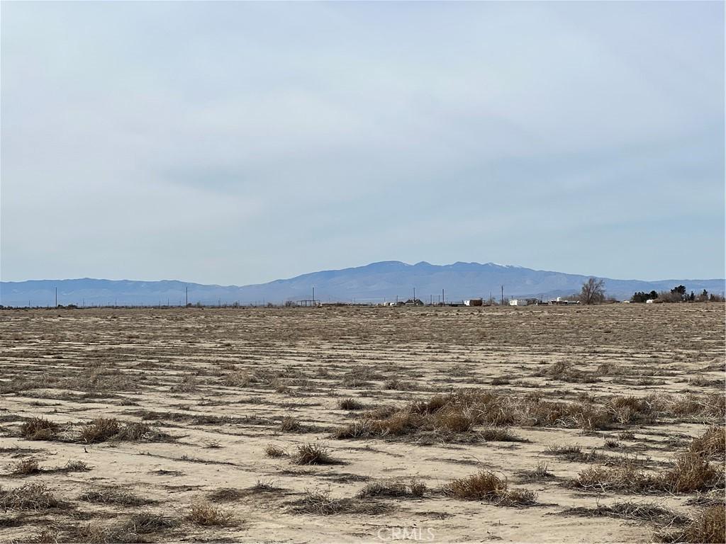MLS #WS26188830 image #0