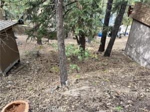 MLS #WS26219044 image #0